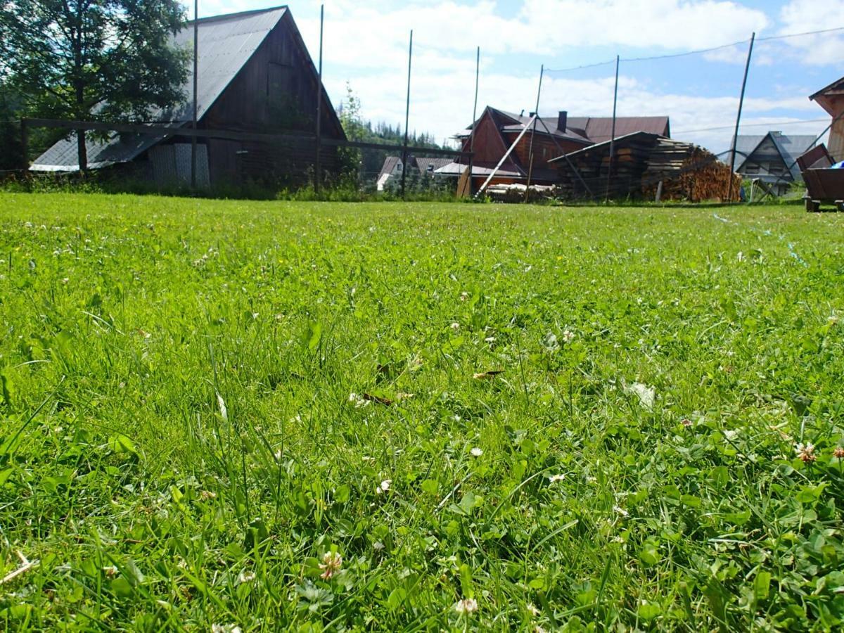 Pokoje Goscinne U Elzbiety Ciche Małe Kültér fotó