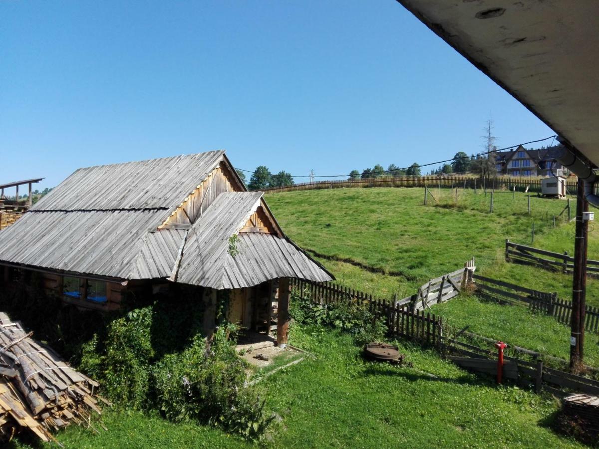 Pokoje Goscinne U Elzbiety Ciche Małe Kültér fotó