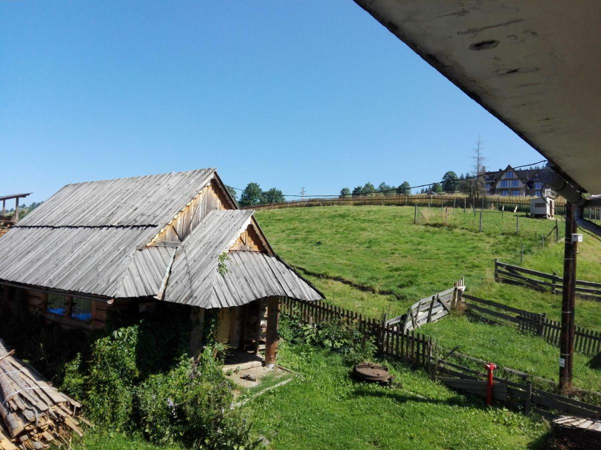 Pokoje Goscinne U Elzbiety Ciche Małe Kültér fotó